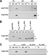 FIG. 7.