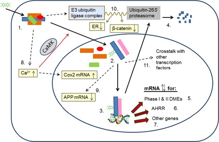 Figure 7