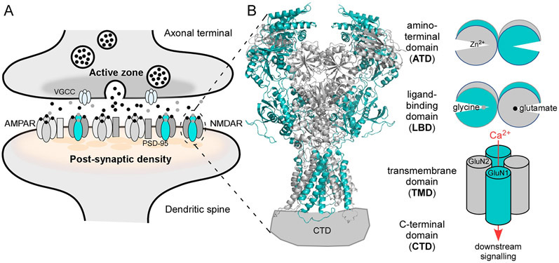 Figure 1.