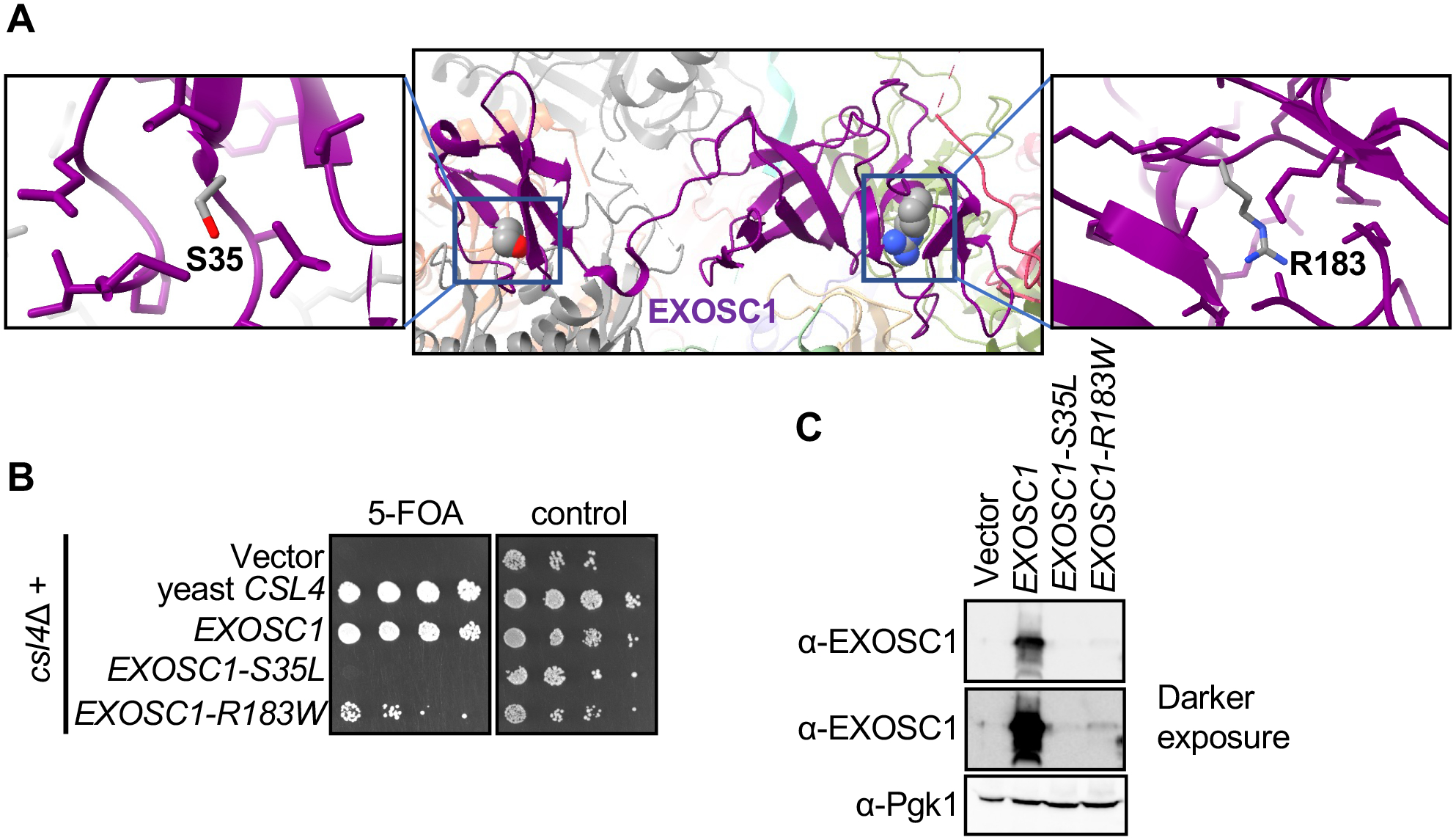 Figure 2: