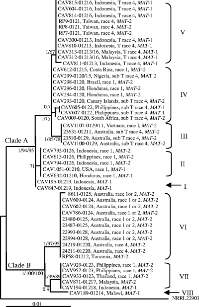 FIG. 1.