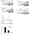 FIG. 7.