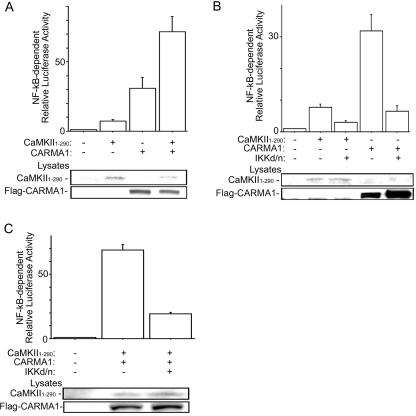 FIG. 4.