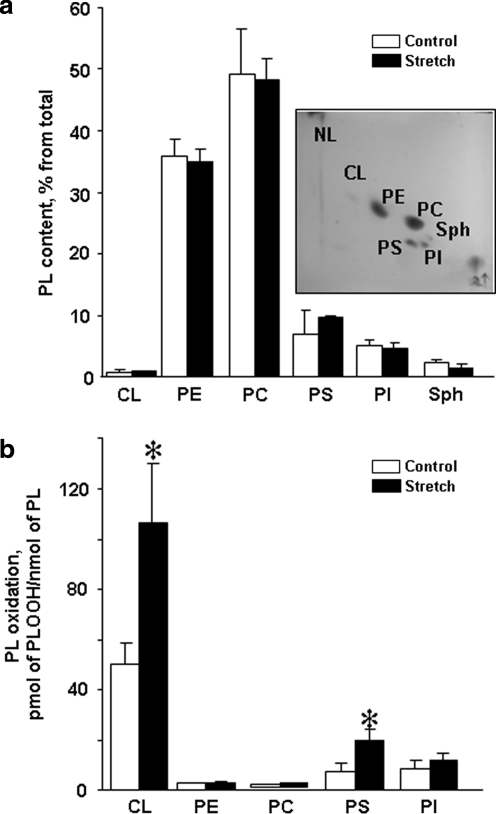 FIG. 5.