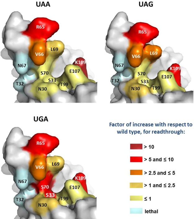 Figure 2.