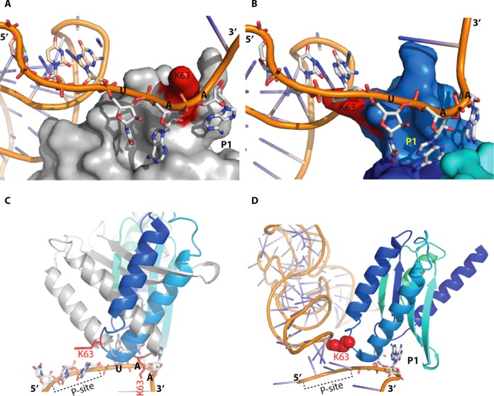 Figure 5.