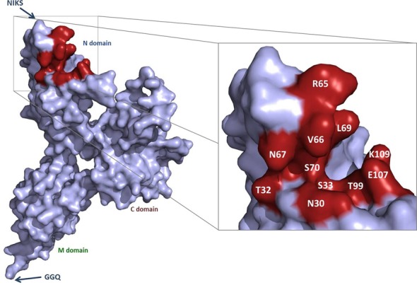 Figure 1.