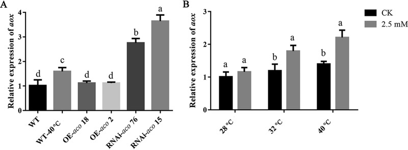 FIG 8