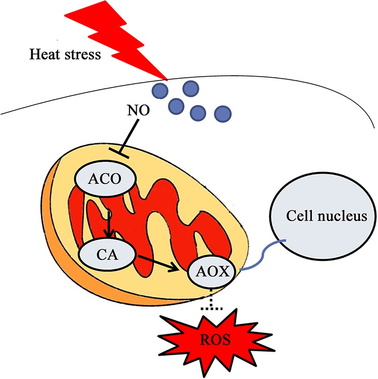 FIG 10