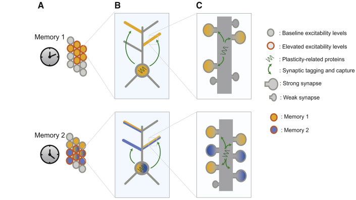 Figure 7