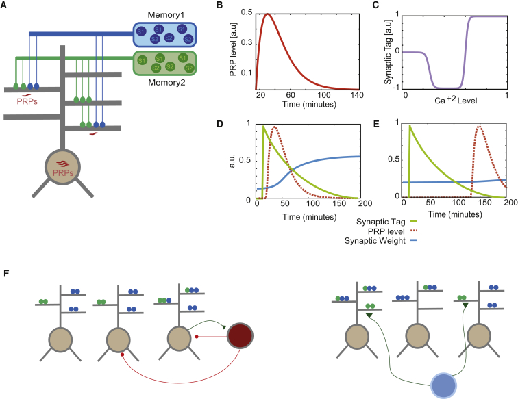 Figure 1