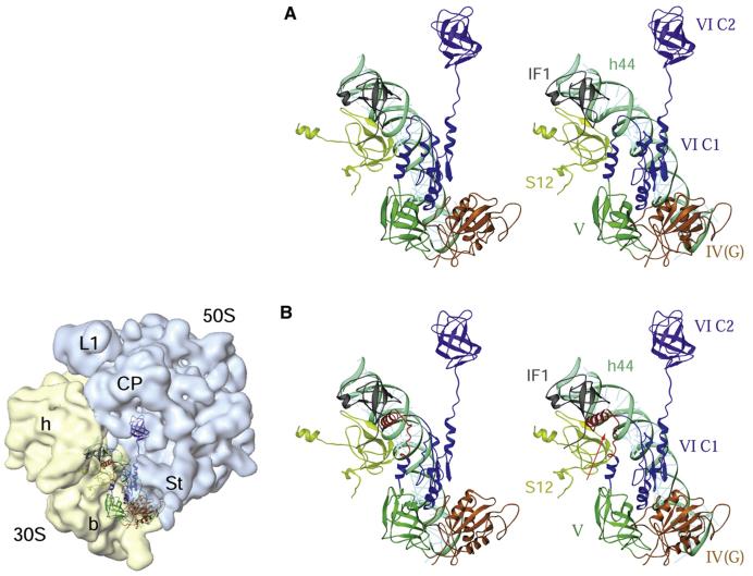 Figure 7