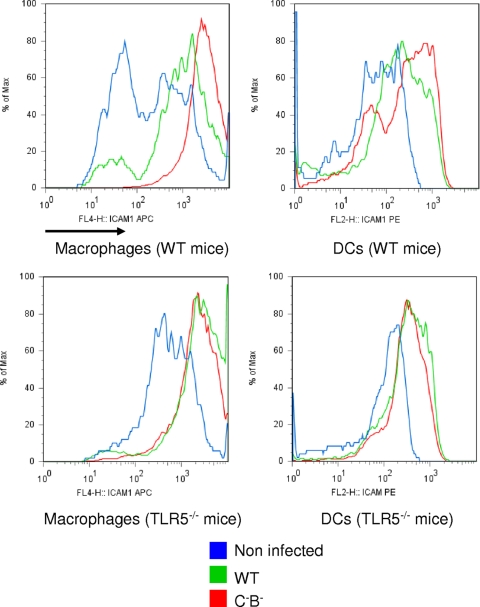 FIG. 4.