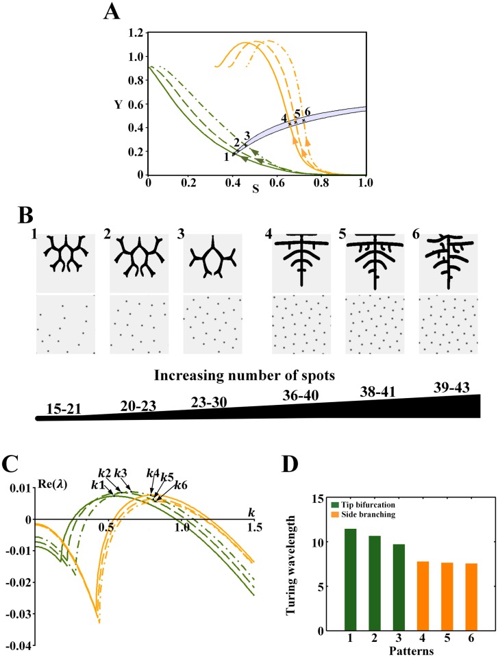 Fig 10