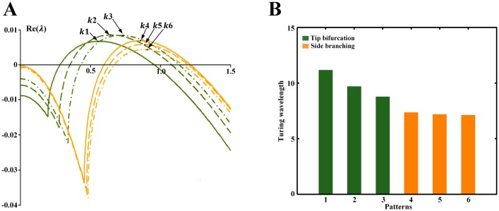 Fig 6