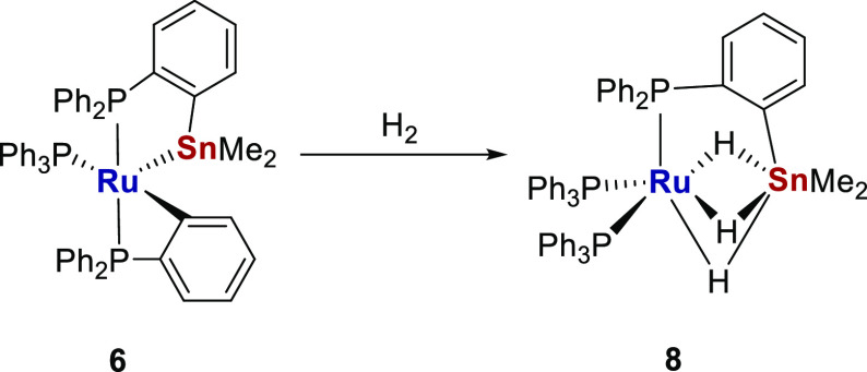 Scheme 8