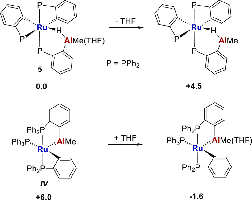 Scheme 5