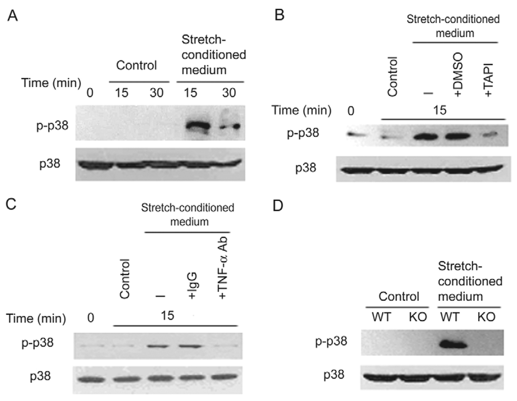 Fig. 9