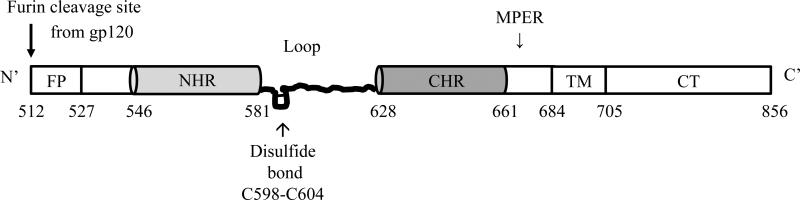 Fig. (1)