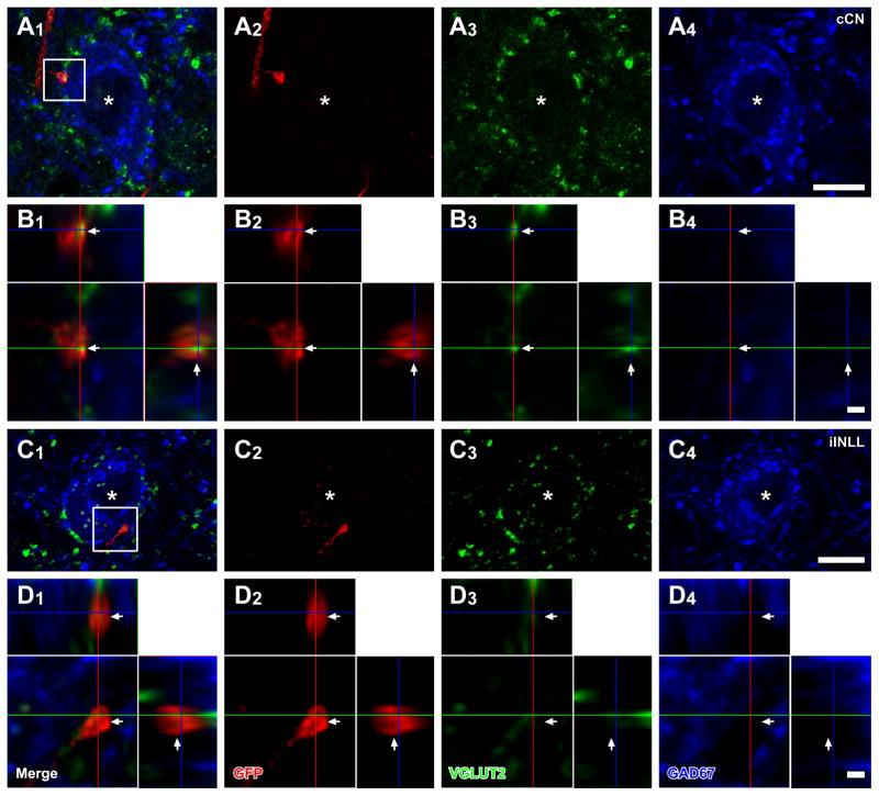 Figure 4