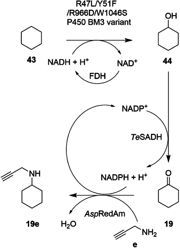 Scheme 17