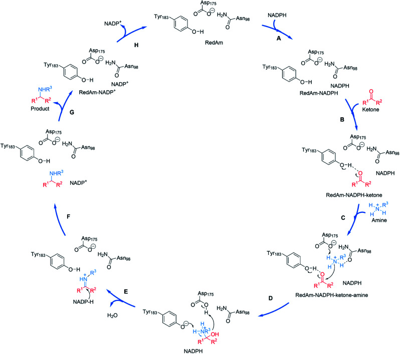 Scheme 9