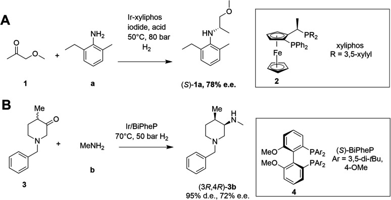 Scheme 2