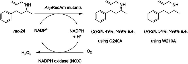 Scheme 10