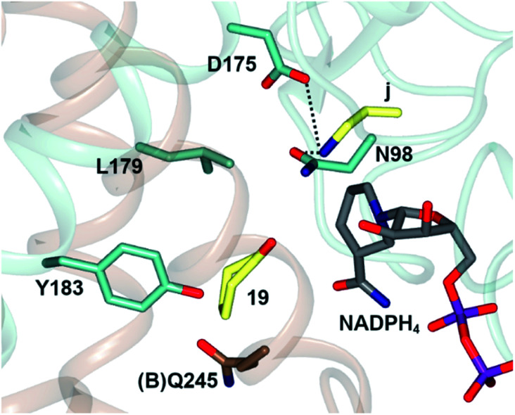 Fig. 4