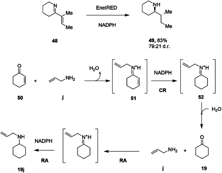 Scheme 19