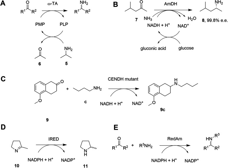 Scheme 3