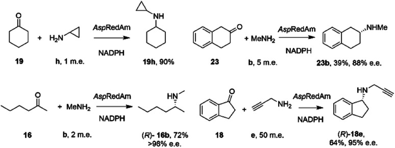 Scheme 8