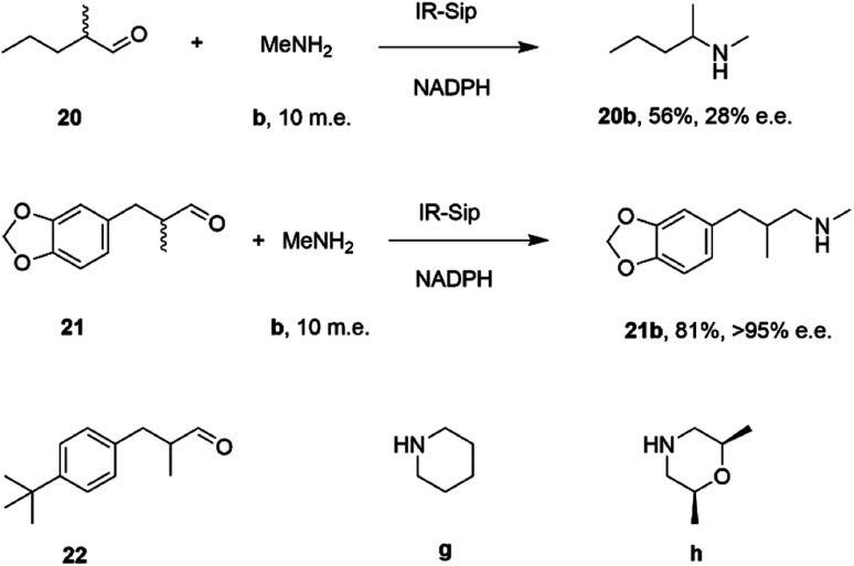 Scheme 7