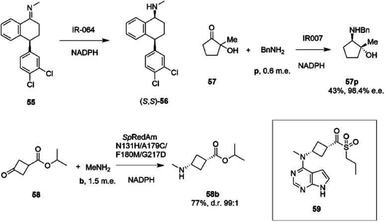 Scheme 22