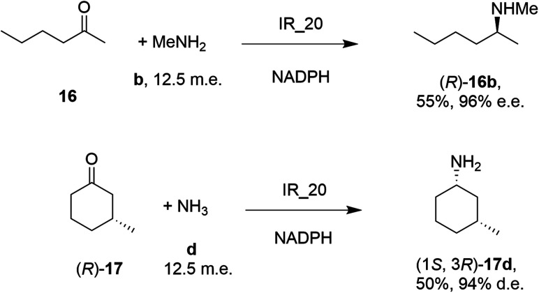 Scheme 5