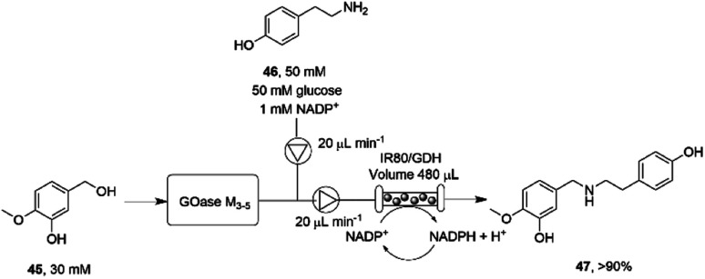 Scheme 18