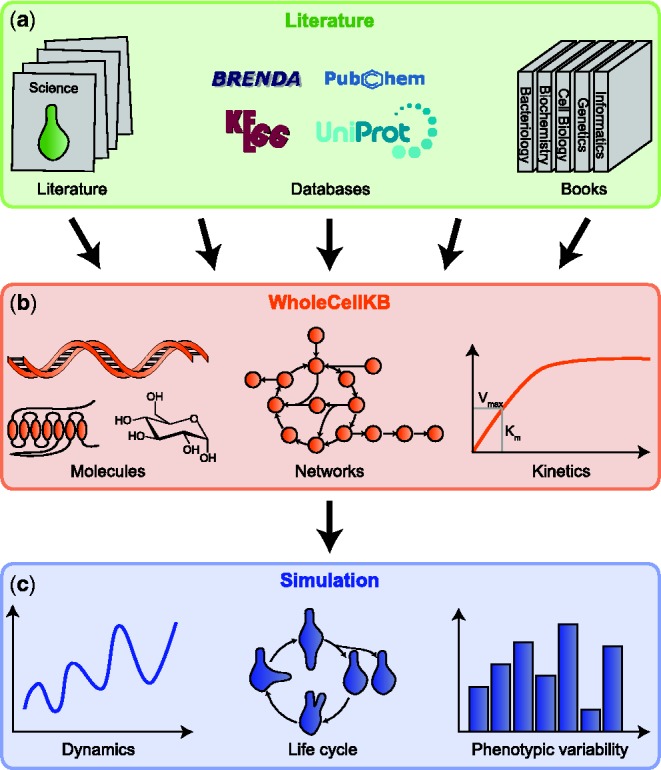 Figure 1.