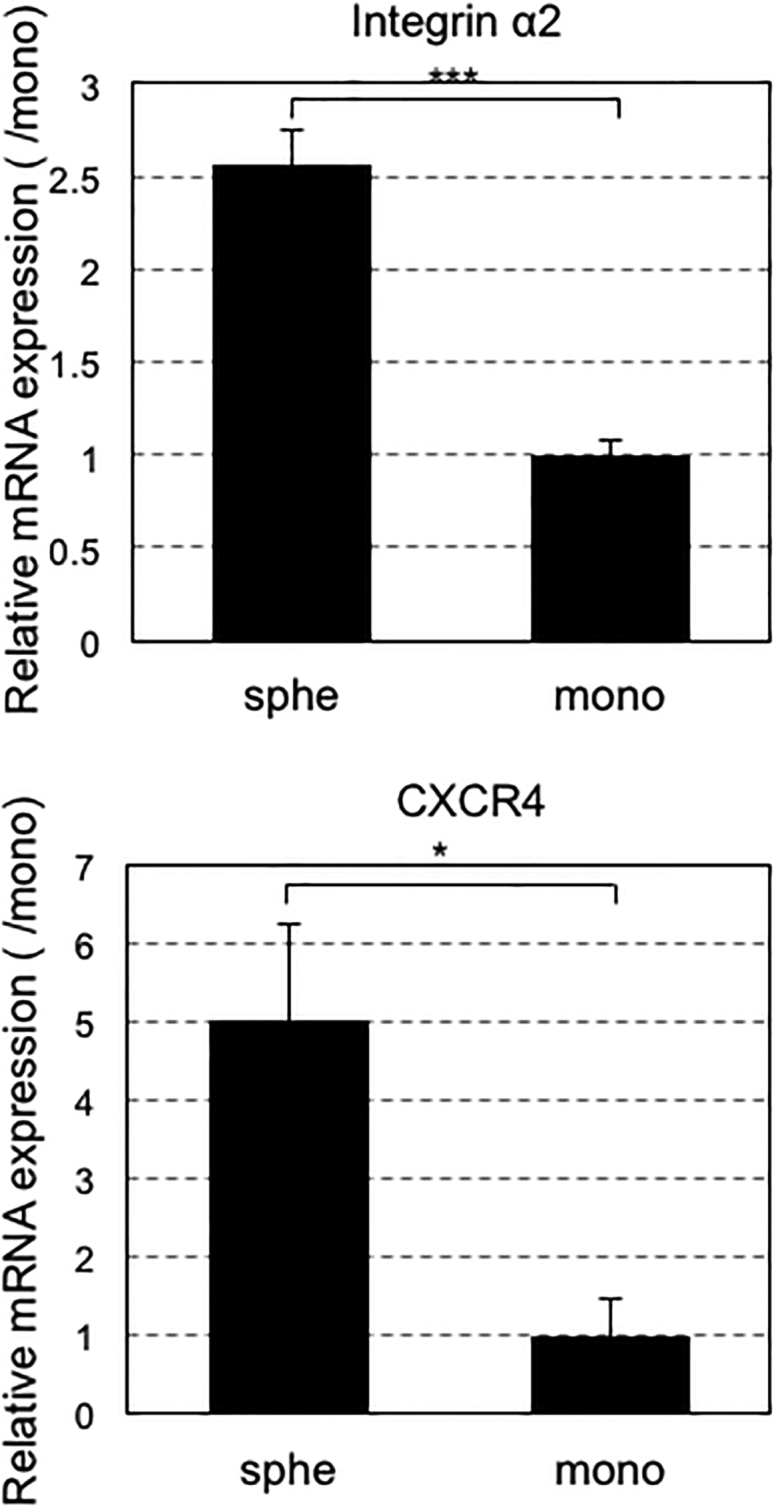 Figure 6