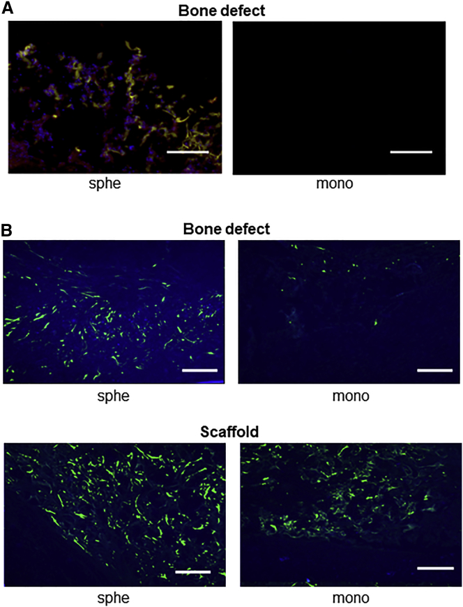 Figure 5