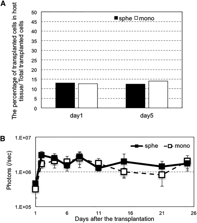 Figure 4