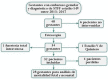 Figura 1