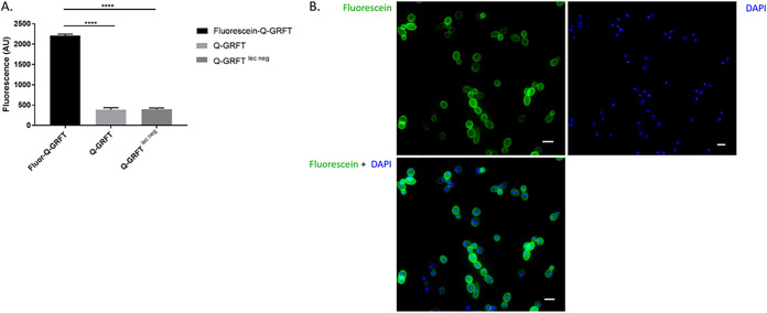 FIG 3