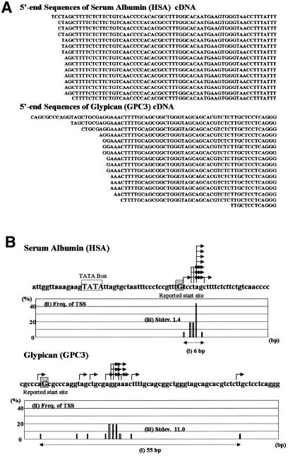 graphic file with name kve08501.jpg