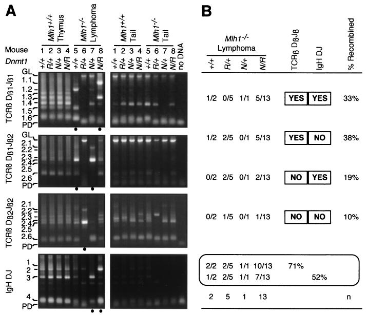 FIG. 6.