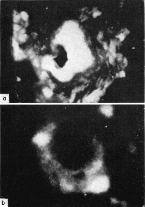 FIG. 8