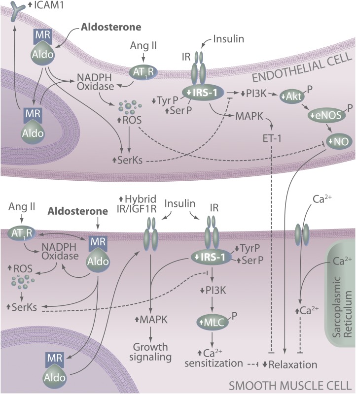 FIG. 1.