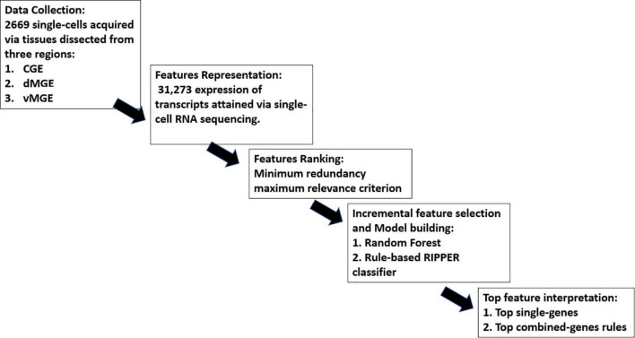 FIGURE 1