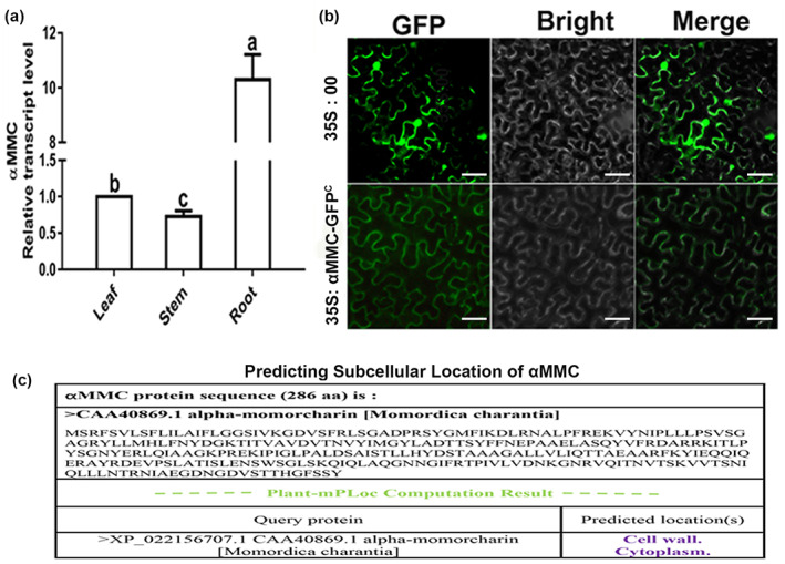 FIGURE 1