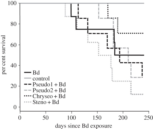 Figure 1.