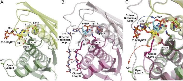 Fig. 3.